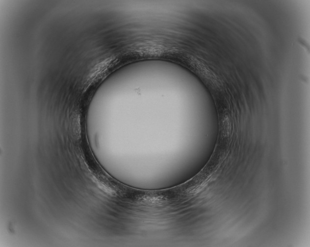 X0000096630638200802191157