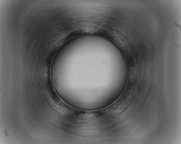 X0000096630639200802191157
