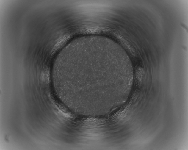 X0000096630640200802191157