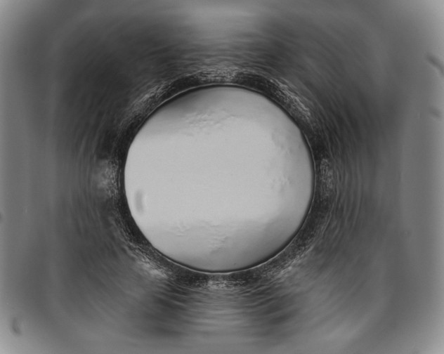 X0000096630641200802191157