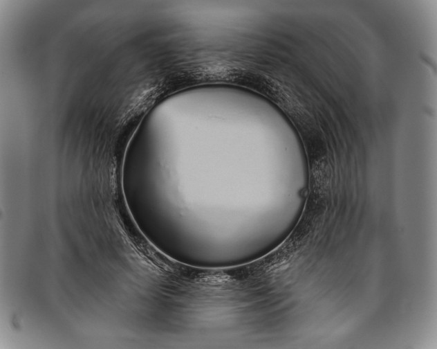 X0000096630642200802191157