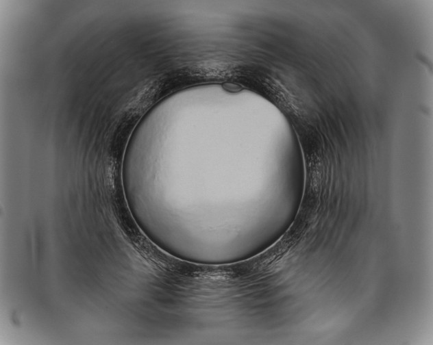 X0000096630643200802191157