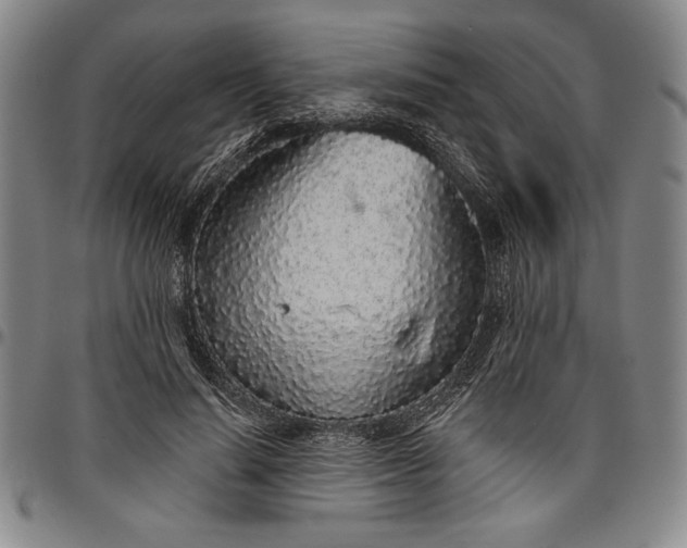 X0000096630644200802191157