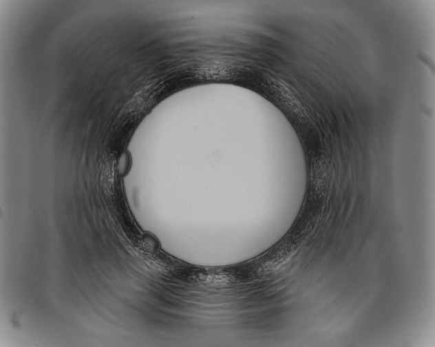 X0000096630645200802191157