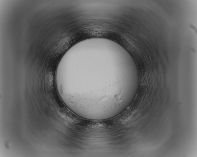 X0000096630646200802191157