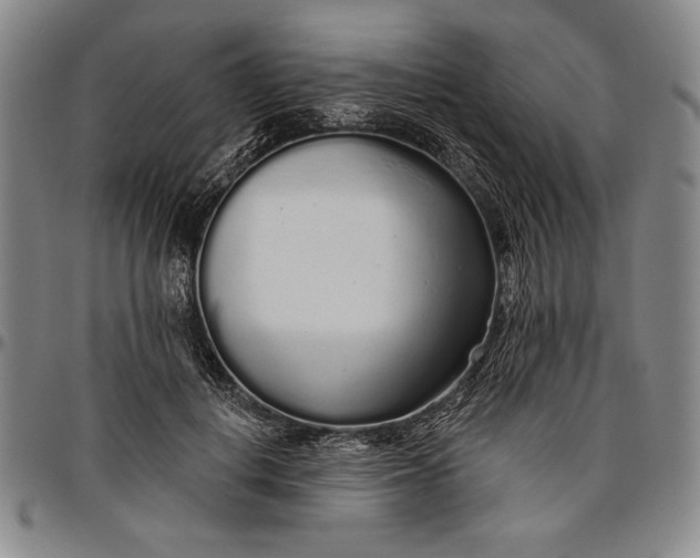 X0000096630648200802191157