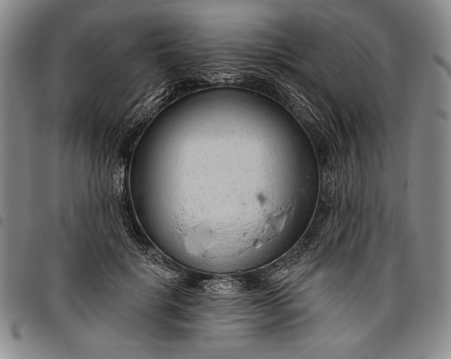 X0000096630652200802191157
