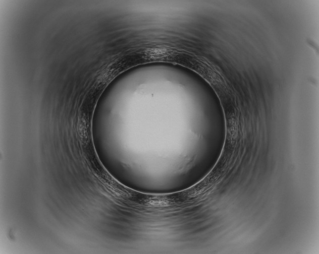 X0000096630653200802191157