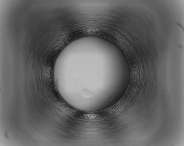 X0000096630654200802191157