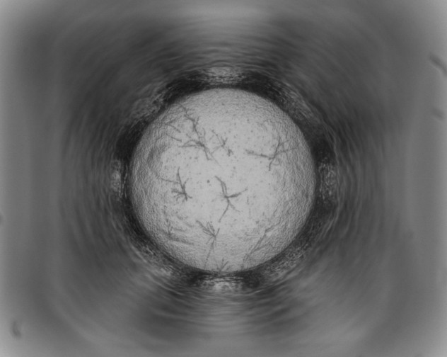 X0000096630655200802191157