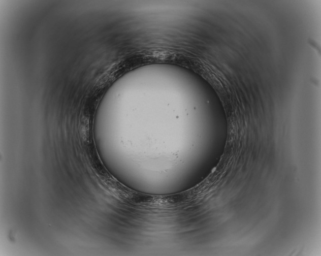 X0000096630656200802191157