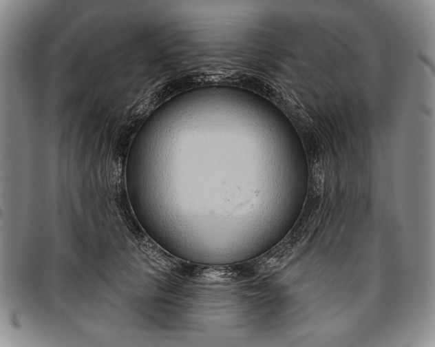 X0000096630657200802191157