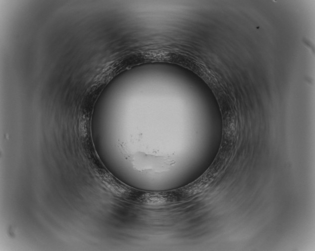 X0000096630658200802191157