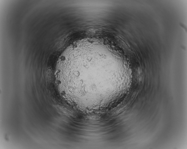 X0000096630659200802191157