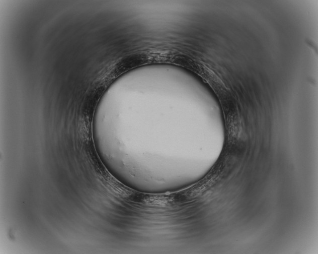 X0000096630661200802191157