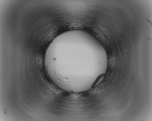 X0000096630662200802191157