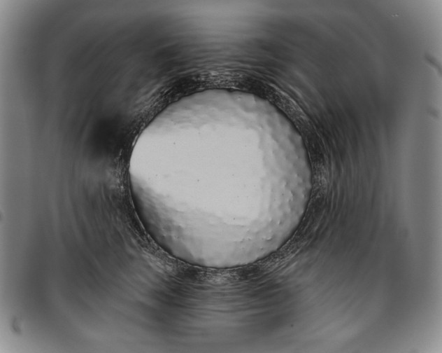 X0000096630663200802191157