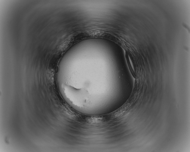 X0000096630664200802191157