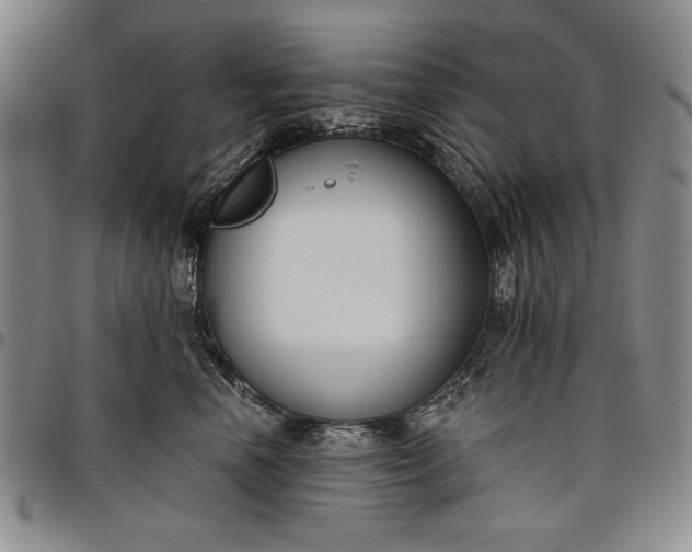 X0000096630666200802191157