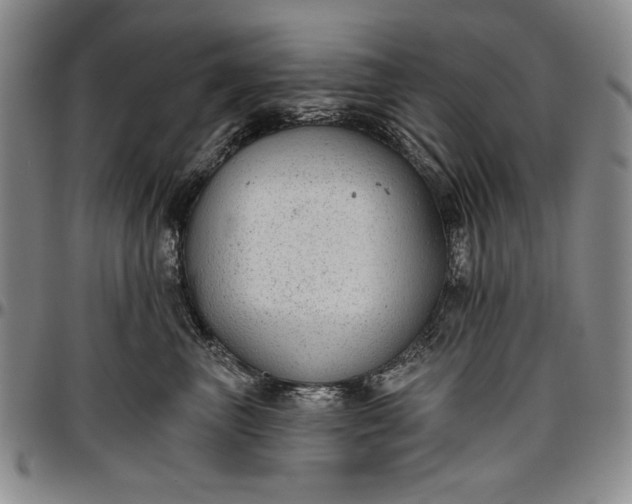X0000096630667200802191157