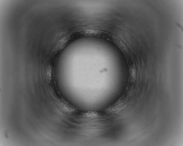 X0000096630668200802191157