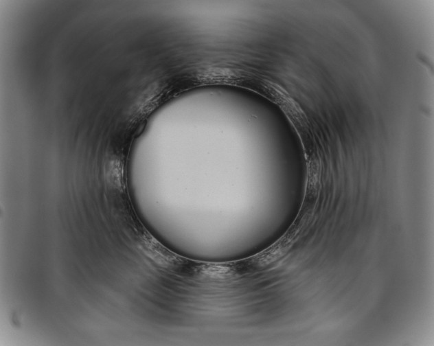X0000096630669200802191157
