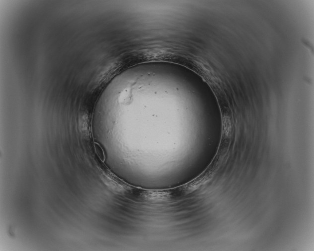 X0000096630670200802191157
