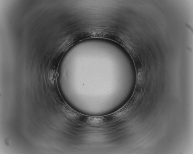 X0000096630671200802191157