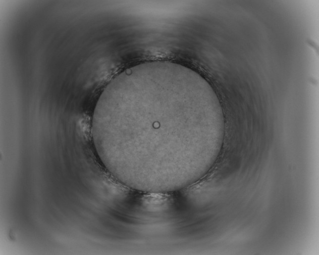X0000096630672200802191158