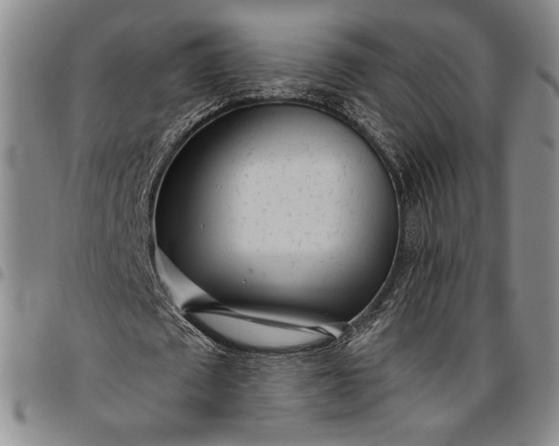 X0000096630673200802191157