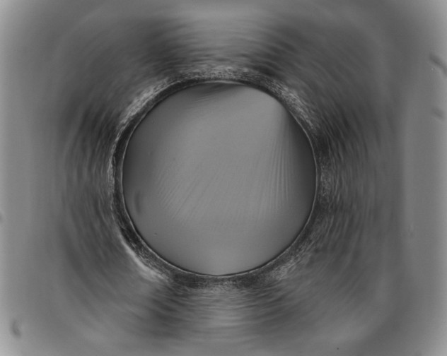 X0000096630674200802191157