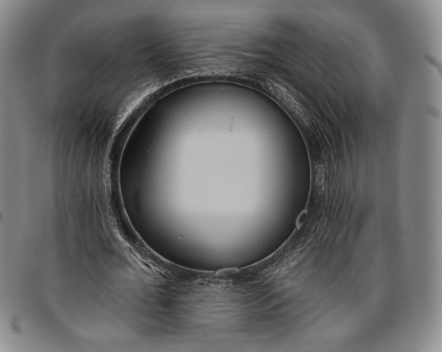X0000096630676200802191157