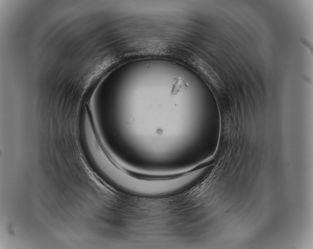 X0000096630677200802191157