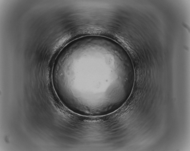 X0000096630679200802191157