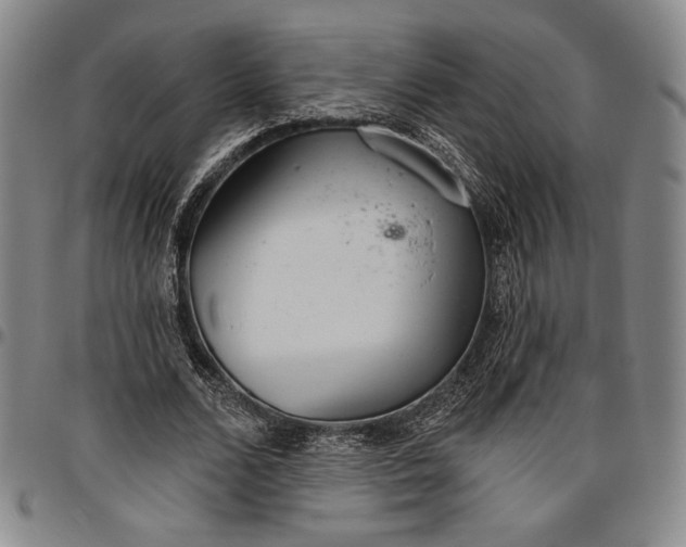 X0000096630680200802191157