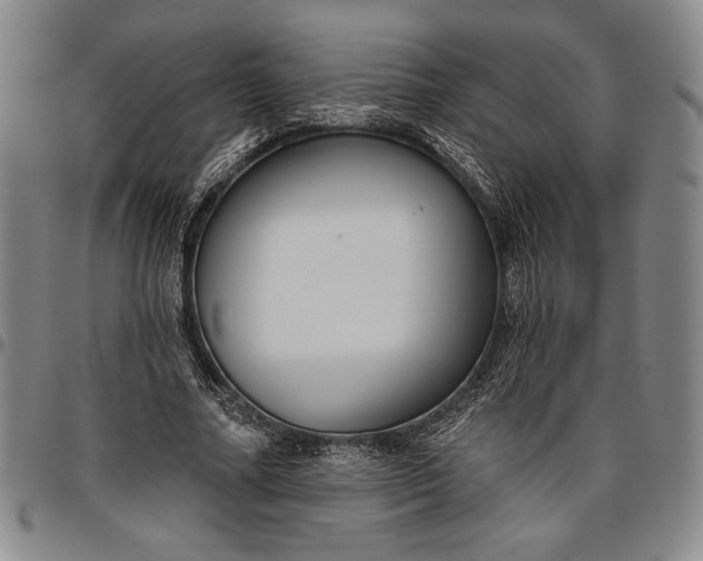 X0000096630682200802191157