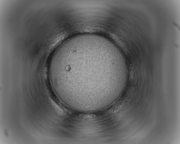 X0000096630683200802191157