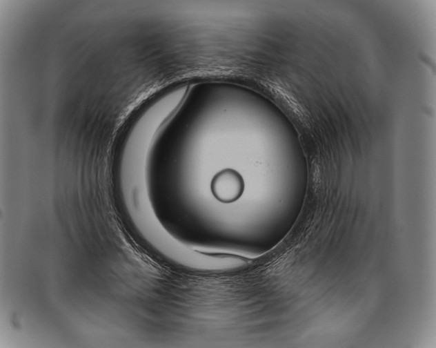 X0000096630684200802191157
