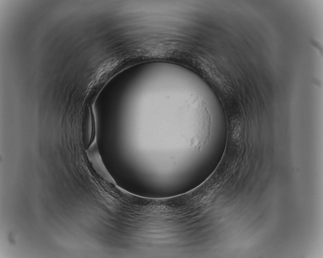 X0000096630685200802191157