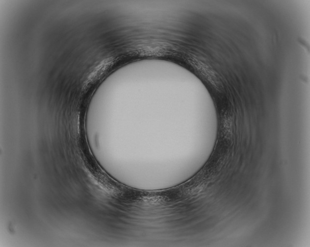 X0000096630686200802191157