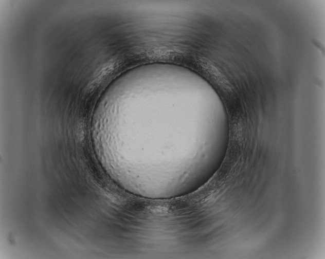 X0000096630687200802191157
