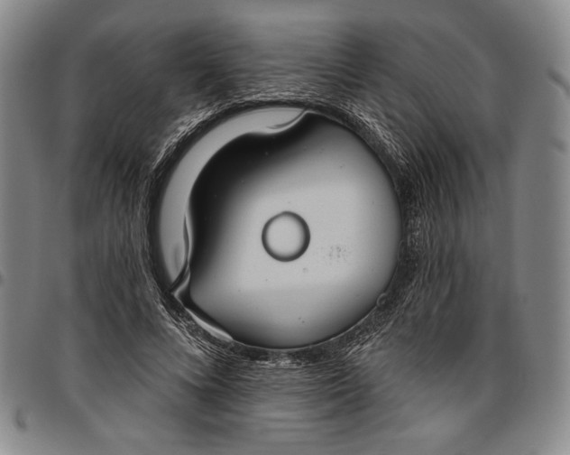 X0000096630688200802191157