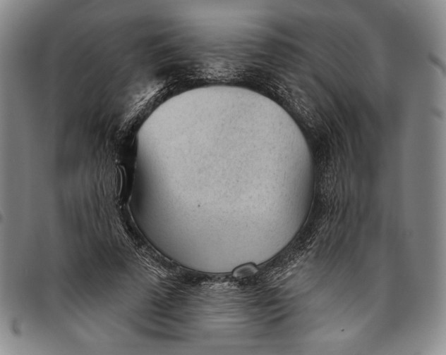 X0000096630689200802191157