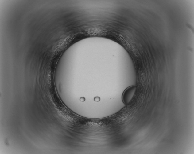 X0000096630690200802191157