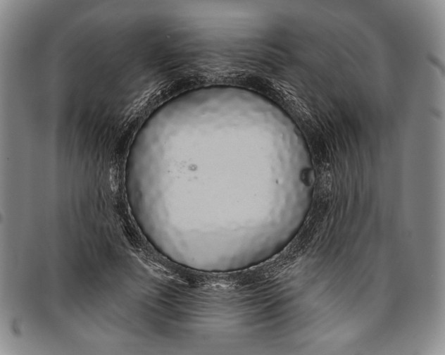 X0000096630691200802191157