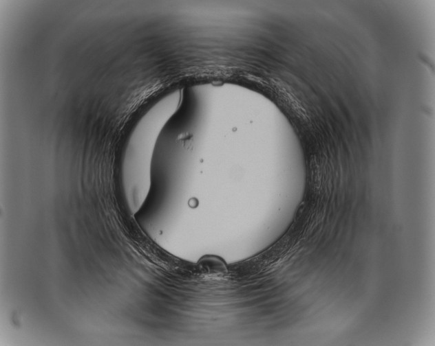 X0000096630692200802191157