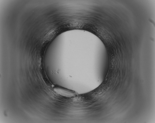 X0000096630693200802191157