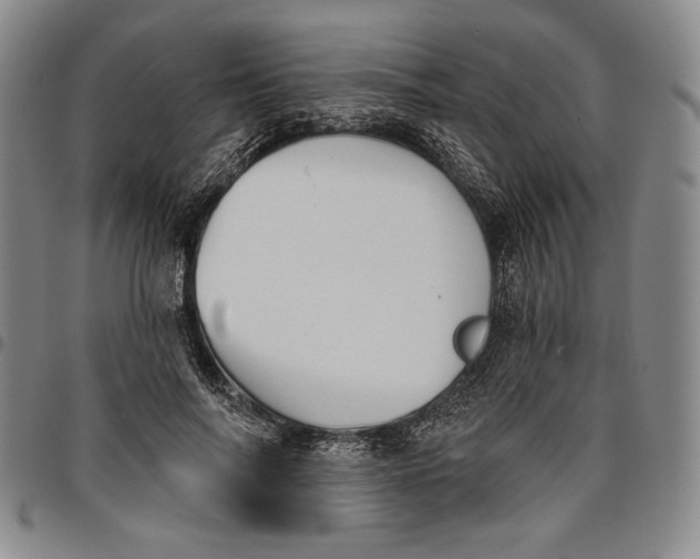 X0000096630694200802191157