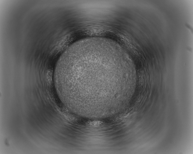 X0000096630695200802191157