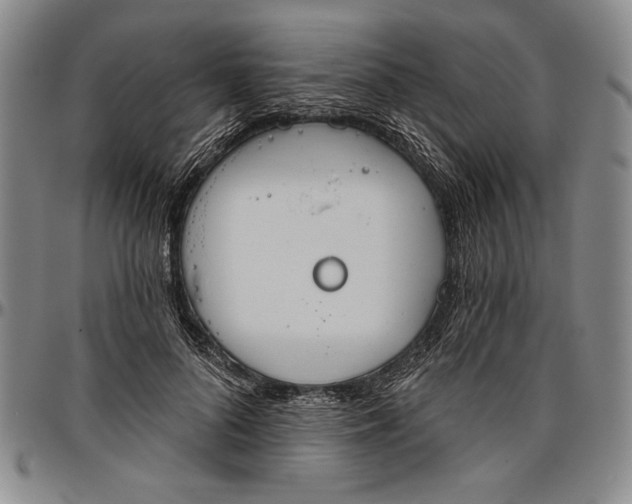X0000096630696200802191157